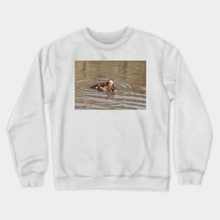 Mandarin Duck Crewneck Sweatshirt